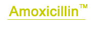 Amoxicillin (Generic)